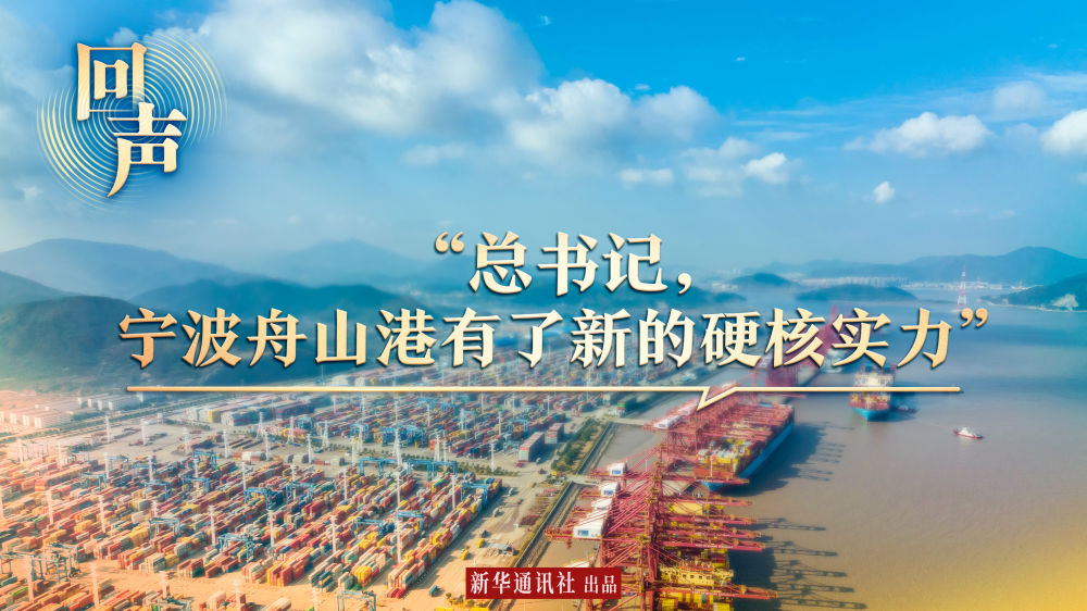 回聲｜“總書記，寧波舟山港有了新的硬核實(shí)力”
