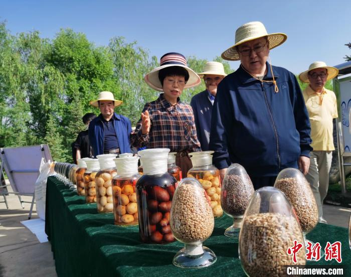 青海：利用冷涼氣候，打造高原綠色種業(yè)輸出地