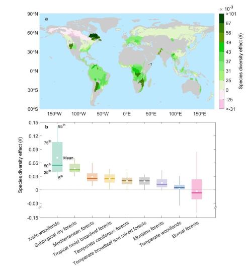 中國繪制世界首幅全球樹種多樣性對(duì)森林抵抗力影響空間分布圖