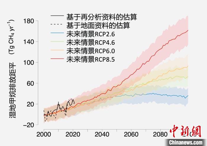 基于觀測(cè)的濕地甲烷排放變化與未來(lái)氣候變化情景下估算的對(duì)比?！≈锌圃呵嗖馗咴?供圖