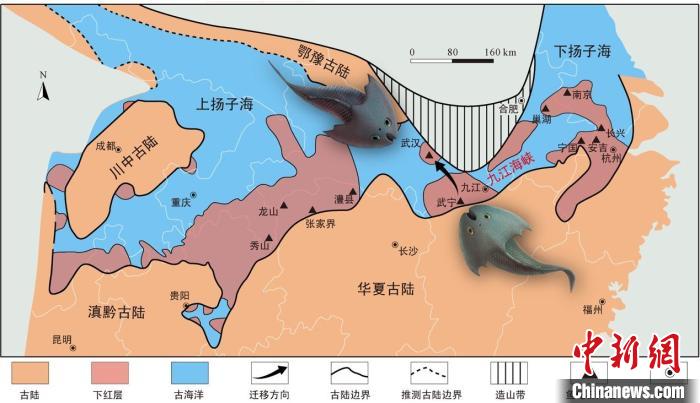 華南地區(qū)志留紀(jì)早期古地理圖和盔甲魚類化石產(chǎn)地(山顯任改自陳旭、戎嘉余，1996；戎嘉余等，2012) 中科院古脊椎所 供圖