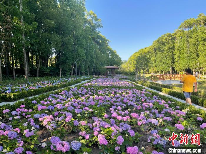 納民意、匯民智上海努力讓“公園城市”建設(shè)真正“合民心”