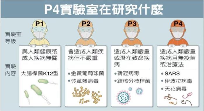 P4實(shí)驗(yàn)室在研究什么。臺灣聯(lián)合新聞網(wǎng)資料圖