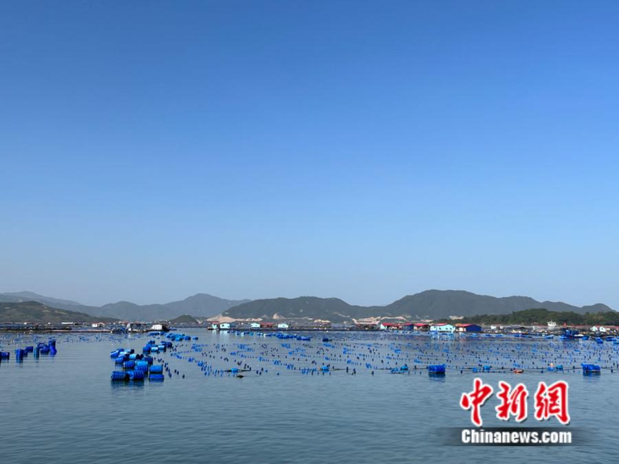 霞浦縣海上魚(yú)排。<a target='_blank' href='/' ><p  align=