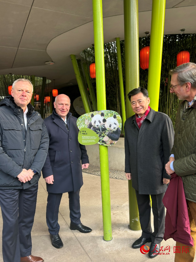 中國駐德國大使吳懇（右二）、柏林市長韋格納（左二）、動物園園長克尼里姆（右一）和監(jiān)事會主席布魯克曼（左一）共同為“夢想”“夢圓”大熊貓紀念牌揭幕。人民網(wǎng)記者 徐馨攝