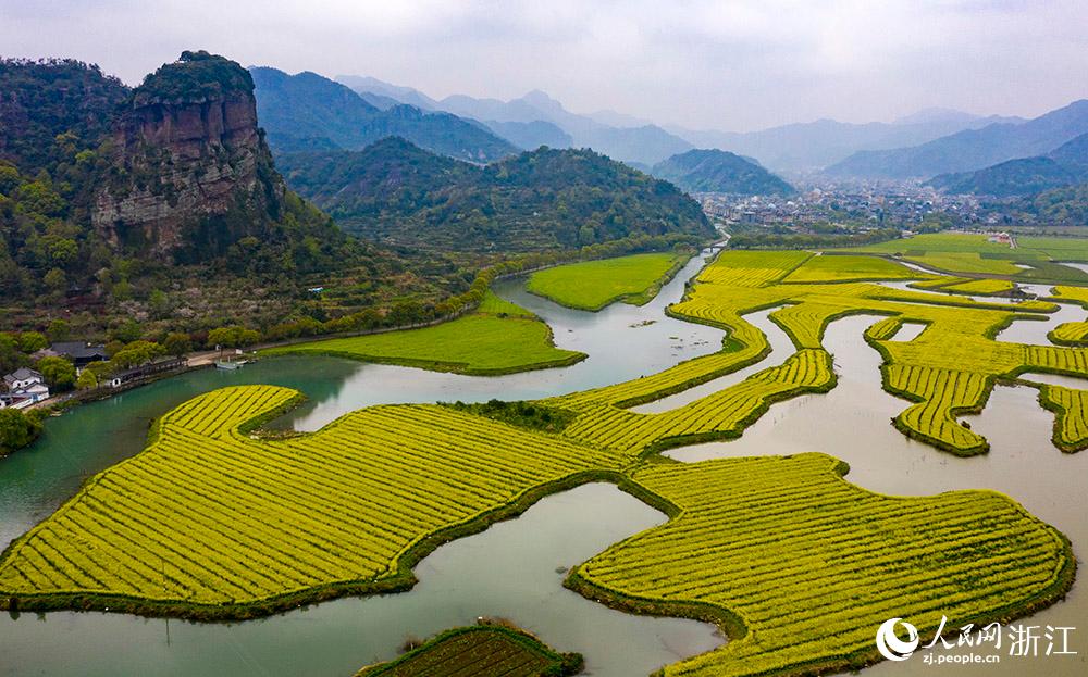 3月28日，航拍浙江省臨海市桃渚鎮(zhèn)桃江十三渚盛開的油菜花景色。人民網(wǎng) 章勇濤攝