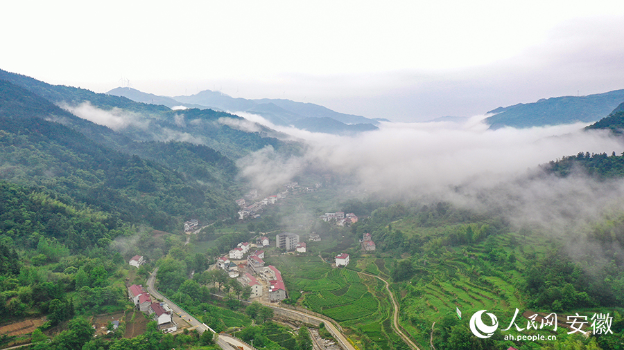 雨后的金寨大灣村，云霧環(huán)繞，宛如一幅田園山水畫卷。人民網(wǎng) 張俊攝