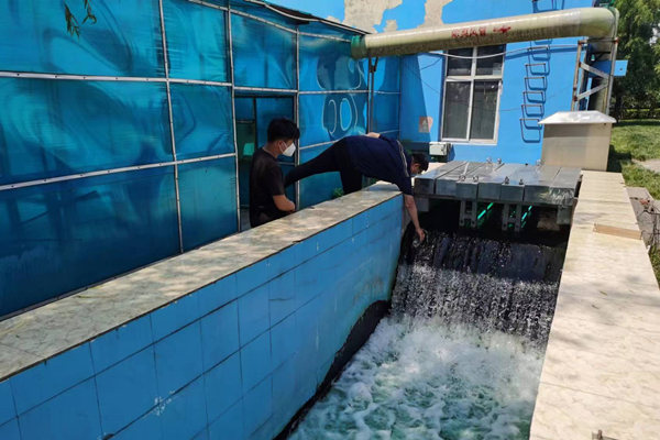 邯鄲市雞澤縣藍(lán)天污水處理廠員工正在出水口進(jìn)行水質(zhì)檢測。鄭佳欣攝