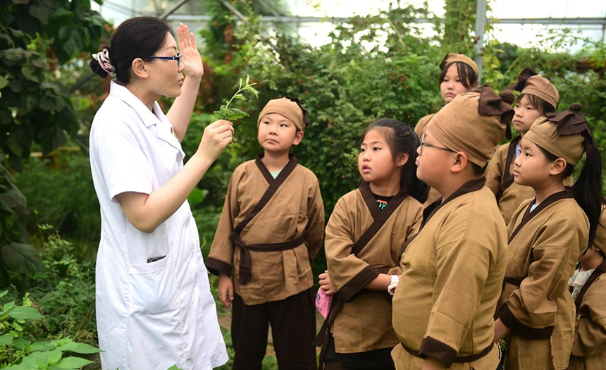 參加活動(dòng)的孩子聆聽(tīng)滄州市人民醫(yī)院國(guó)醫(yī)館中醫(yī)對(duì)中藥材的講解。 傅新春攝