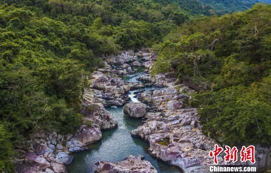 2018年海南生態(tài)環(huán)境狀況等級為“優(yōu)”，植被覆蓋率高，生物多樣性豐富，生態(tài)系統(tǒng)穩(wěn)定，圖為海南中部熱帶雨林。　駱云飛　攝