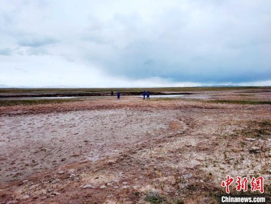 圖為救援力量在青海省西部搜救失聯(lián)的江蘇南京某大學(xué)女生黃某某。海西州藍天應(yīng)急救援中心 供圖