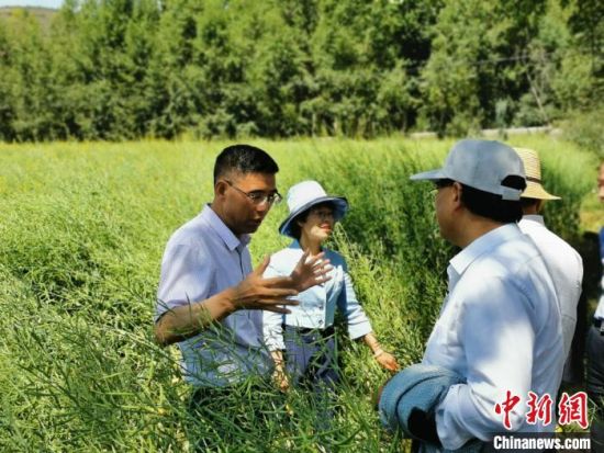 圖為九三學(xué)社青海省委主委杜德志(左一)在基層調(diào)研。受訪者供圖