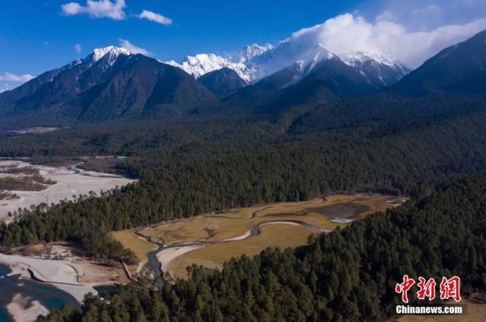 資料圖：西藏崗云杉林與遠處的雪峰。 何蓬磊 攝