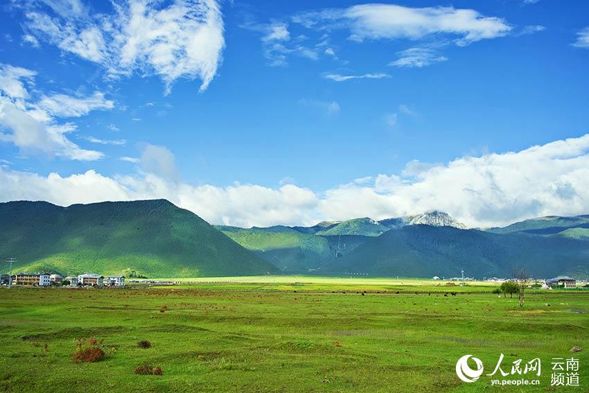 納帕海濕地風(fēng)景。呂昊辰攝