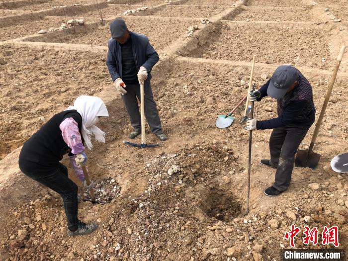 資料圖為建行青海省分行綠化區(qū)施工隊隊員處理亂石?！〗ㄐ星嗪Ｊ》中泄﹫D