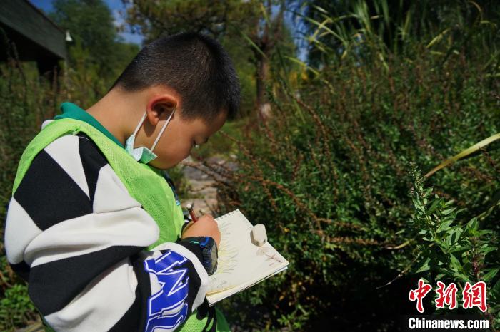 圖為小朋友在青海西寧湟水國(guó)家濕地公園內(nèi)認(rèn)識(shí)植物并進(jìn)行繪畫(huà)。　馬銘言 攝