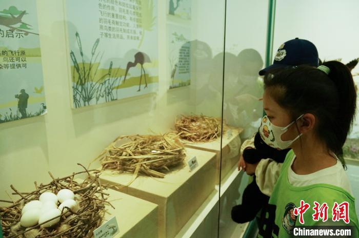 圖為小朋友在青海西寧湟水國(guó)家濕地公園科普館內(nèi)參觀學(xué)習(xí)?！●R銘言 攝