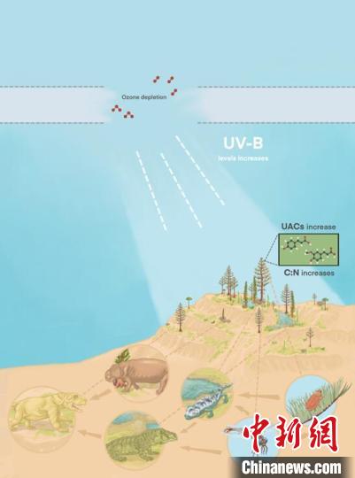 臭氧層破壞引起的紫外線輻射增加對(duì)陸地食物鏈的影響?！∧瞎潘?供圖