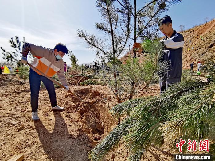 圖為西寧市城東區(qū)義務植樹活動現(xiàn)場。　張?zhí)砀?攝