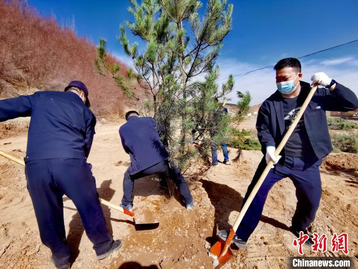 圖為西寧市城東區(qū)義務植樹活動現(xiàn)場?！?zhí)砀?攝