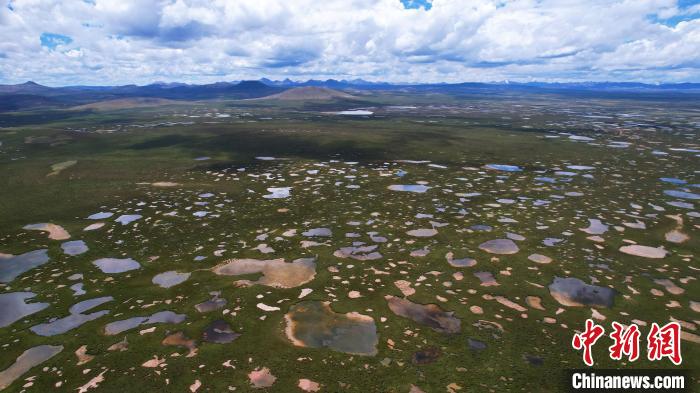 青海整治侵占、污染、破壞濕地類(lèi)型自然保護(hù)地