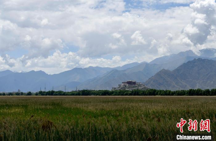 圖為拉薩拉魯濕地。　李林 攝