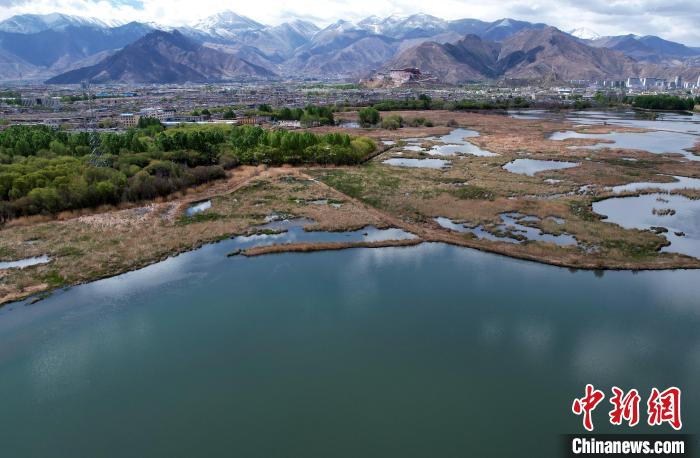 圖為拉薩拉魯濕地。(無人機照片) 李林 攝