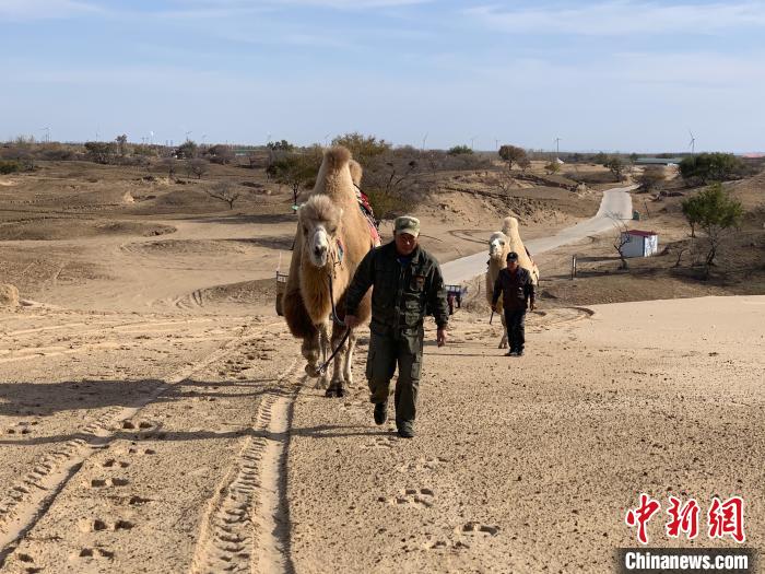 圖為科爾沁沙地中的兩名牽駝人。　奧藍 攝