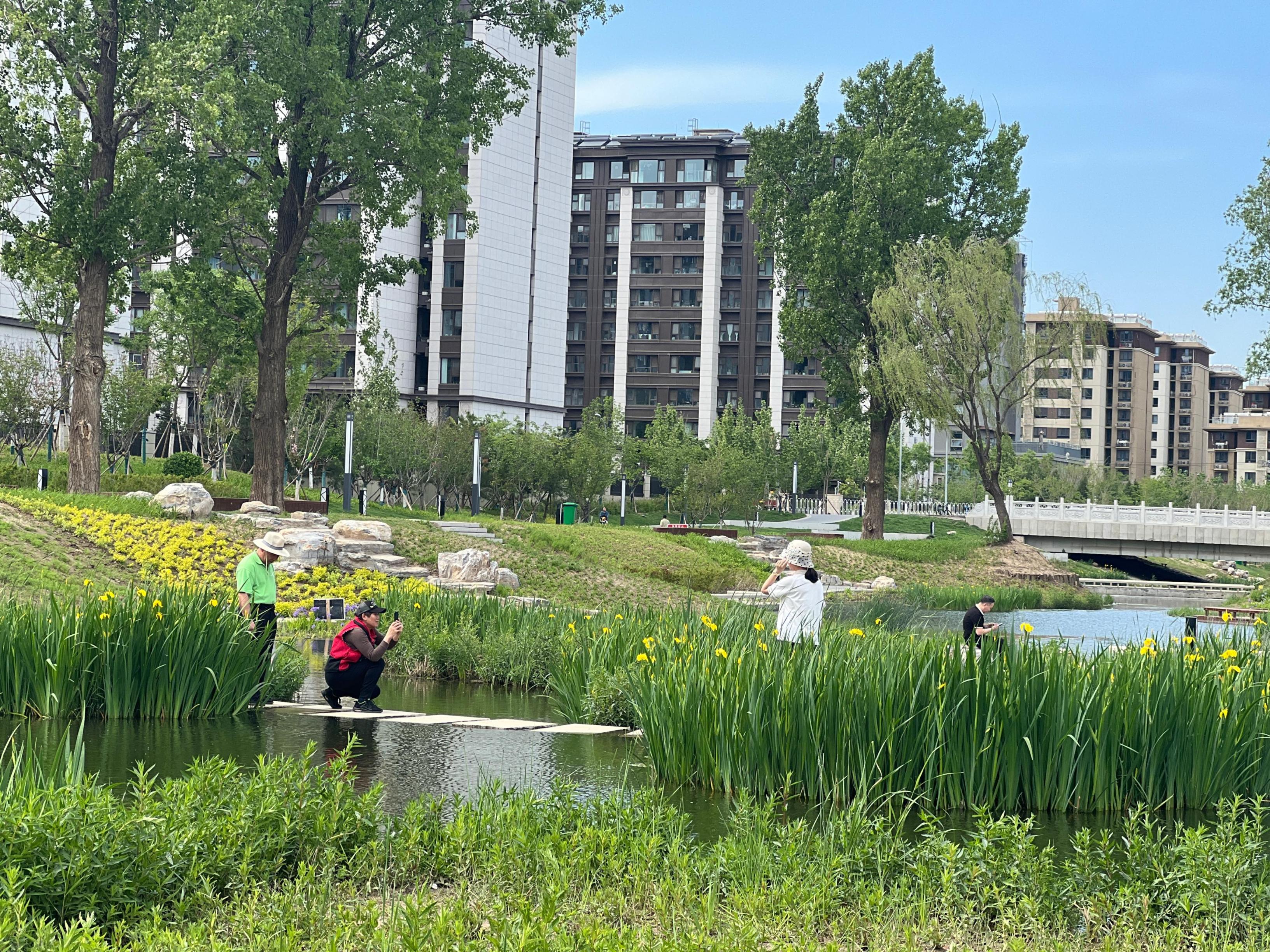 五一渠生態(tài)濱河公園內(nèi)，市民正在拍照留念。人民網(wǎng) 歐陽易佳攝