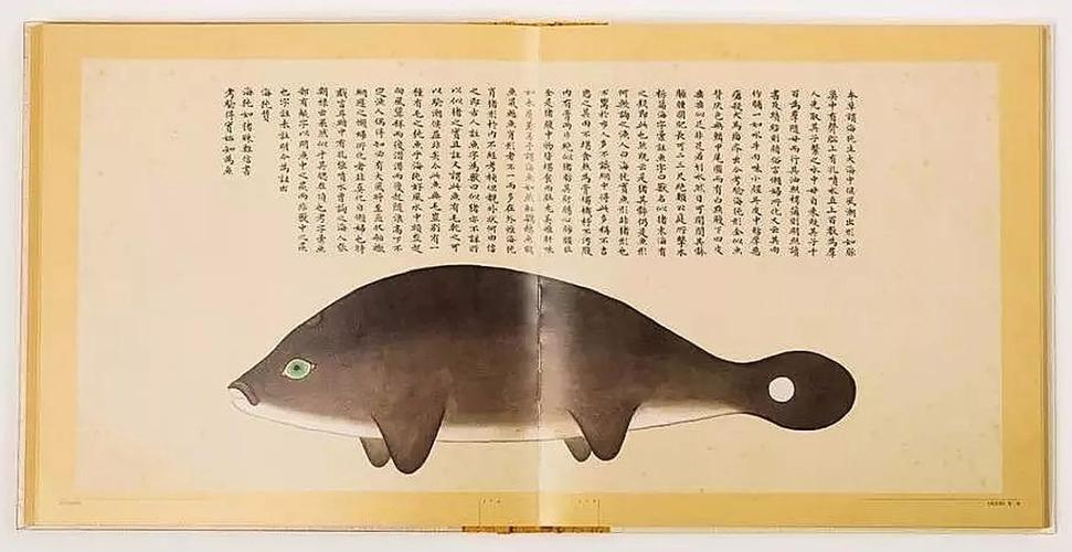 文化中國(guó)行 長(zhǎng)江之歌丨微笑的江豚，從四千年前“游”來