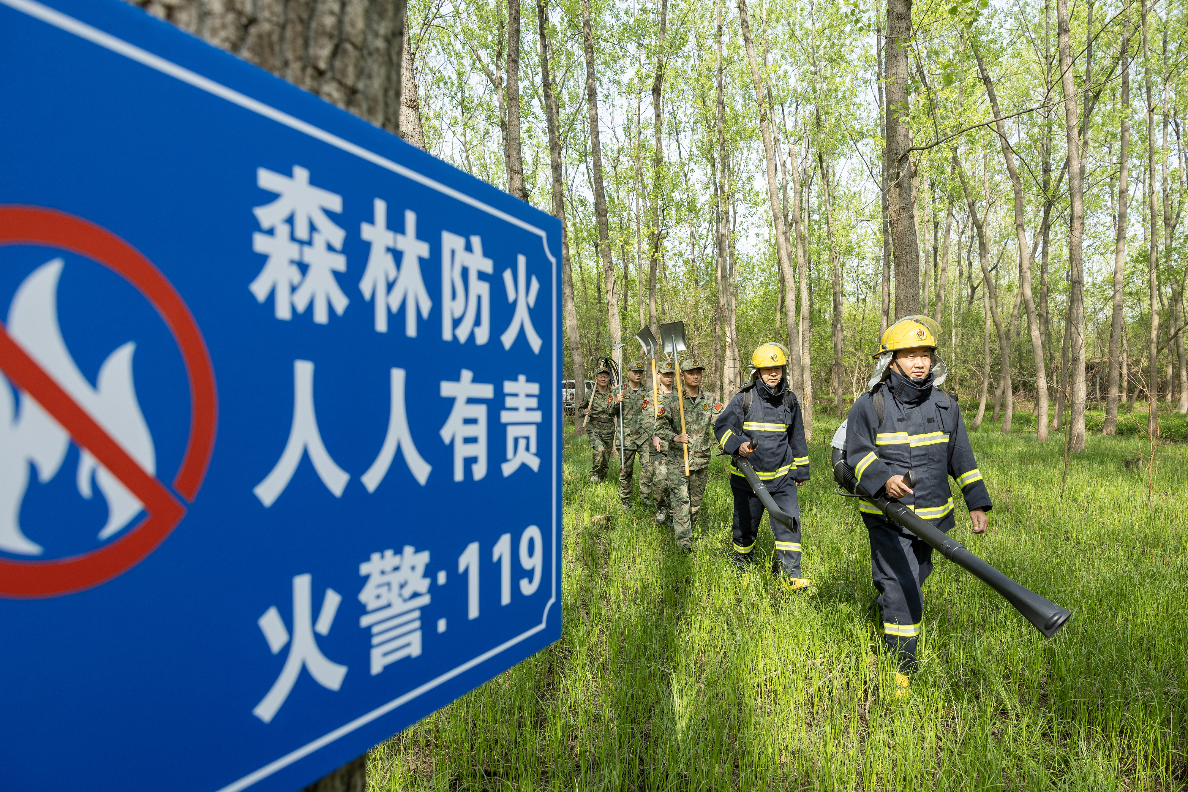 2024年4月9日，合肥市大房郢水庫水源保護地廬陽經(jīng)濟開發(fā)區(qū)段，基干民兵正在林間巡查火災(zāi)隱患。