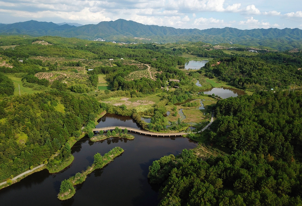 福建省龍巖市長汀縣的長汀汀江國家濕地公園景色（2020年7月28日攝，無人機(jī)照片）。新華社記者 魏培全 攝