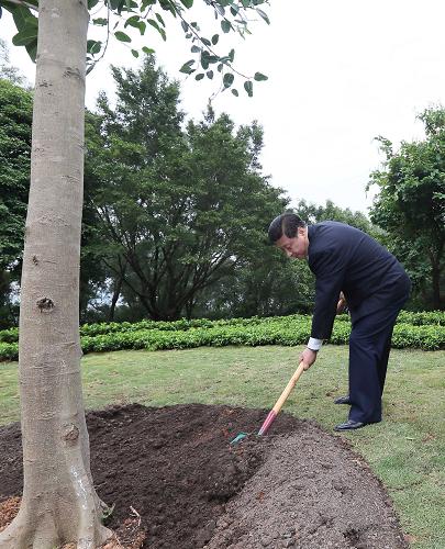 2012年12月7日至11日，習(xí)近平在廣東省考察工作。這是8日上午，習(xí)近平在深圳蓮花山公園種下一棵高山榕樹。新華社記者 蘭紅光 攝