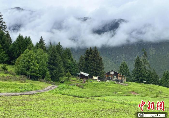 6月10日，魯朗小鎮(zhèn)高山牧場景區(qū)風光?！∪轿木?攝