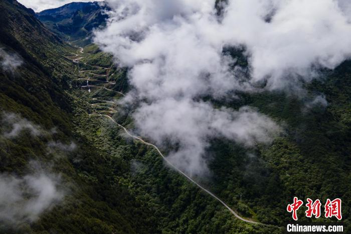 西藏山南勒布溝景區(qū)的盤山公路被云霧環(huán)繞?！〗w波 攝