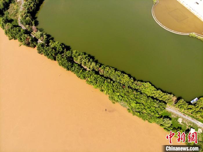 圖為2020年9月3日航拍黃河蘭州段濕地公園現(xiàn)黃河“鴛鴦鍋”。(資料圖) 高瑩 攝