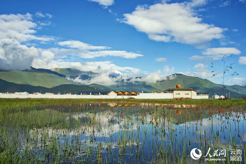 納帕海濕地風(fēng)景。呂昊辰攝