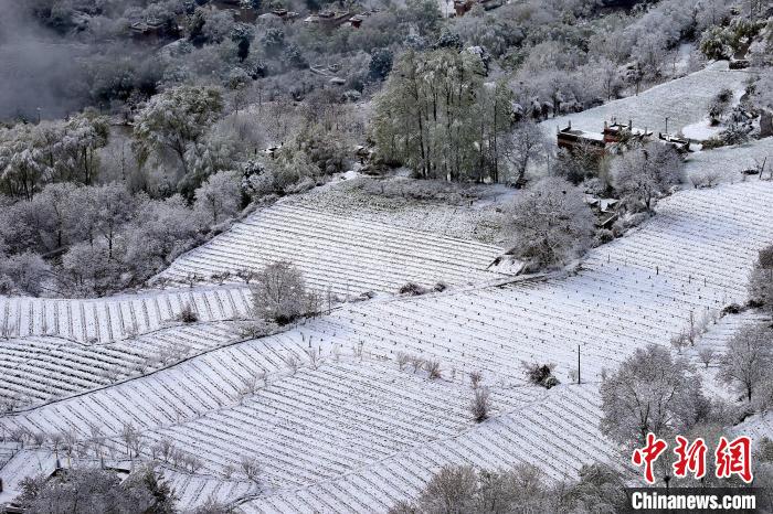 雪后的高山田間如畫(huà)?！±钣腊?攝