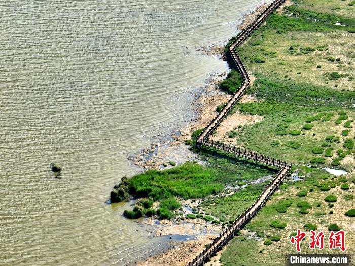 俯瞰柴達木盆地都蘭湖國家濕地公園