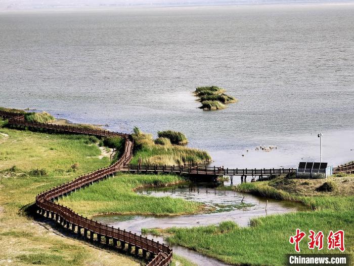 圖為都蘭湖國家濕地公園觀光棧道?！∑钤鲚?攝