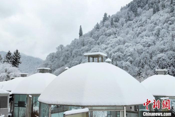 大熊貓國(guó)家公園王朗片區(qū)春雪如畫，宛若仙境?！×_春平 攝