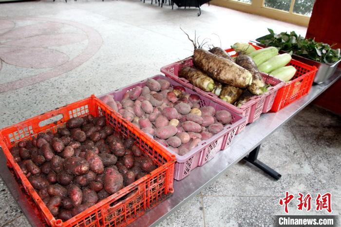 圖為亞東邊檢站“警營菜園”喜獲豐收的蔬菜?！⊥鯑|東 攝