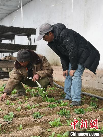 圖為尼瑪扎西(右)與西藏農(nóng)民聊天(資料圖)。西藏農(nóng)科院 供圖