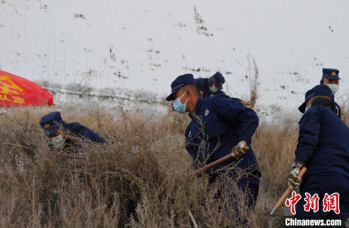 圖為200余名消防員在布達(dá)拉宮后山集合除草?！≮w朗 攝