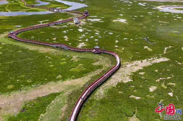 【重走天路看變遷】飛越高原美肺 海拔4700米的聶榮濕地公園