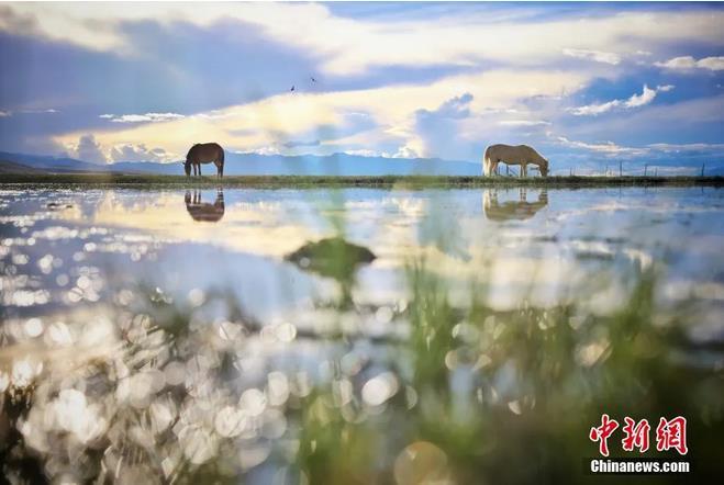 資料圖：那曲市申扎縣境內(nèi)的濕地。李雪峰 攝
