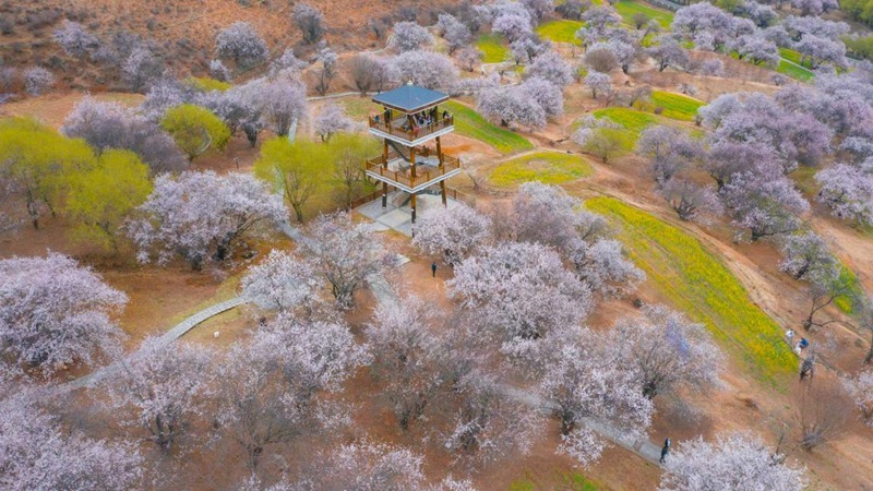 林芝嘎拉村。 張靜攝