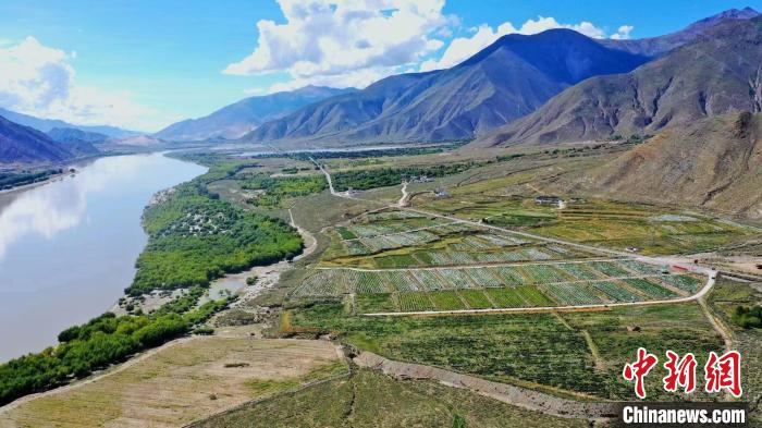 圖為桑日縣葡萄種植基地。　山南桑日縣委宣傳部提供