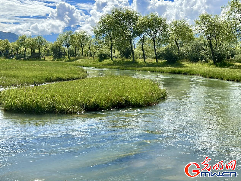 我們的家園丨【組圖】 綠水青山入畫，“金山銀山”筑起