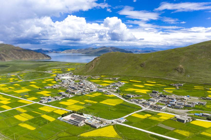 航拍道布龍村，依山傍水，阡陌縱橫。